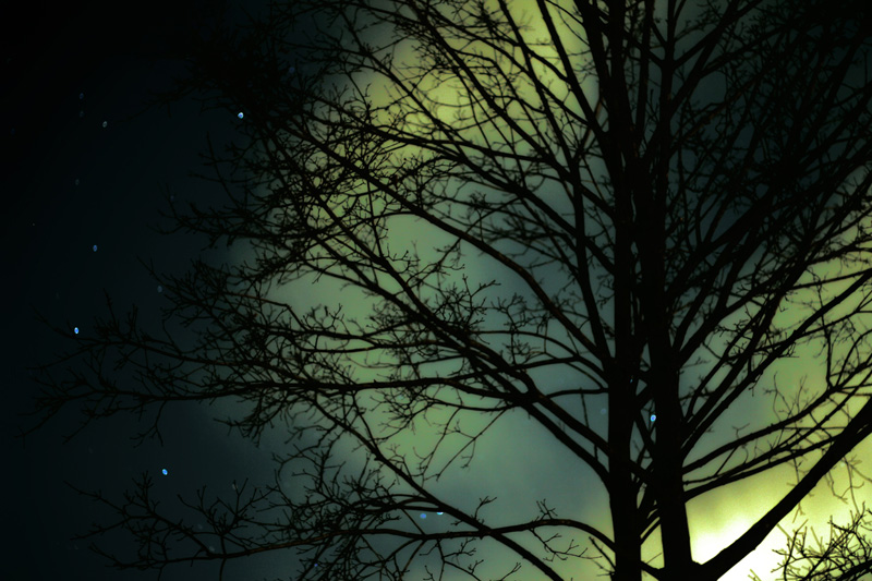 Illustration for article titled 106 Amazing Photos By You